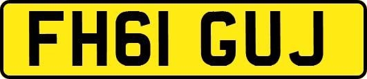FH61GUJ