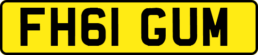 FH61GUM