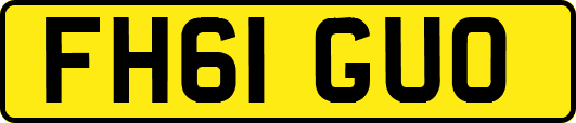 FH61GUO