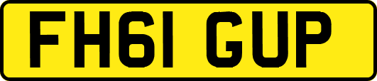 FH61GUP