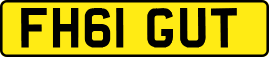 FH61GUT