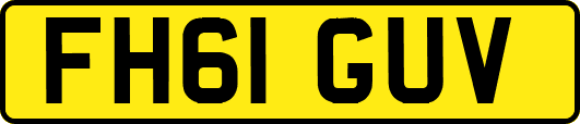 FH61GUV