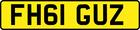 FH61GUZ