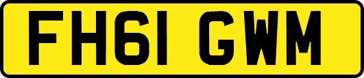 FH61GWM