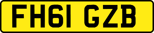 FH61GZB
