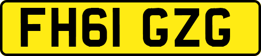 FH61GZG