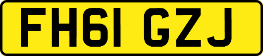FH61GZJ