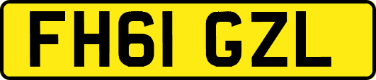 FH61GZL