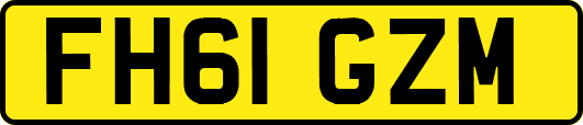 FH61GZM