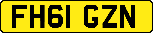 FH61GZN