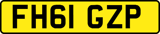 FH61GZP
