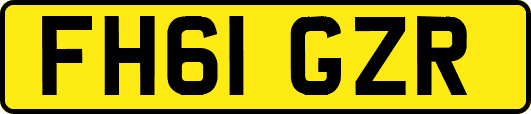 FH61GZR