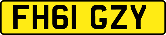 FH61GZY