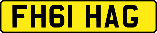 FH61HAG