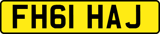 FH61HAJ