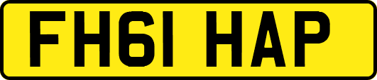 FH61HAP