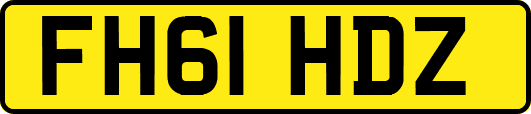 FH61HDZ