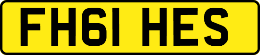 FH61HES