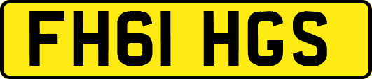 FH61HGS