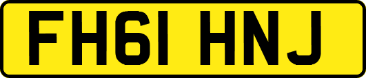 FH61HNJ