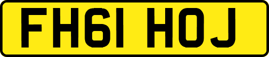 FH61HOJ