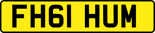 FH61HUM