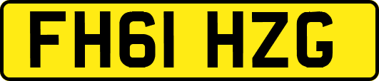 FH61HZG