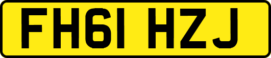 FH61HZJ