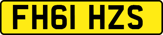 FH61HZS