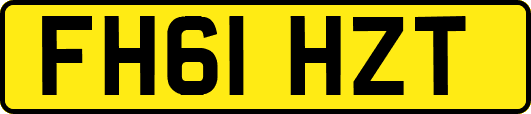 FH61HZT