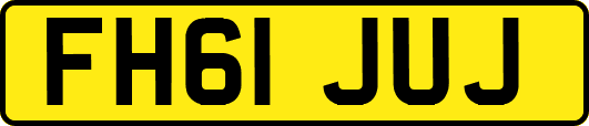 FH61JUJ