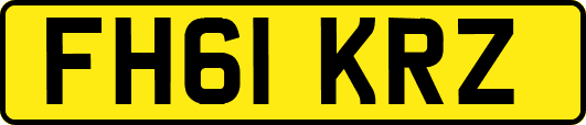 FH61KRZ