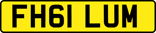 FH61LUM