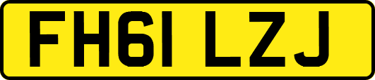 FH61LZJ