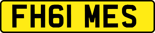 FH61MES