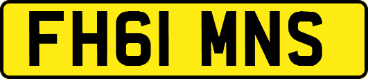FH61MNS