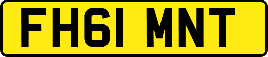 FH61MNT