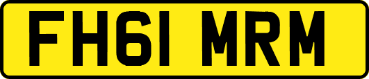 FH61MRM