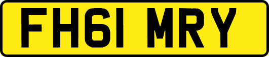 FH61MRY