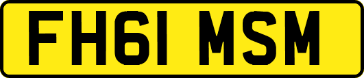 FH61MSM