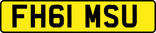 FH61MSU
