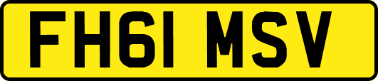 FH61MSV