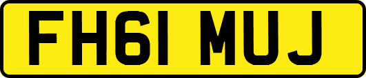 FH61MUJ