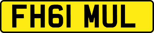 FH61MUL