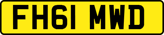 FH61MWD