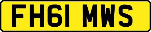 FH61MWS