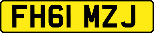FH61MZJ