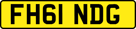 FH61NDG