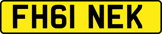 FH61NEK