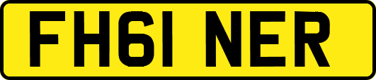FH61NER